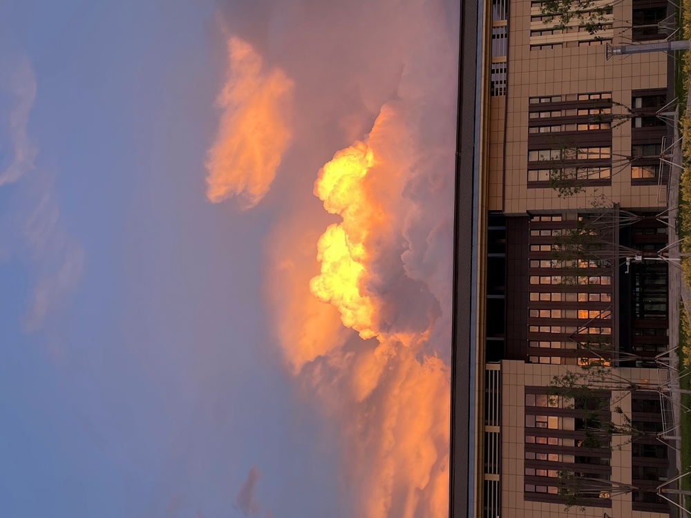 fa68013937274f92b9847ae786bda225.jpg