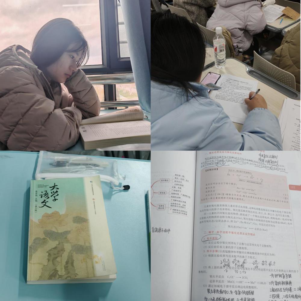 图示, 示意图

中度可信度描述已自动生成:ver1