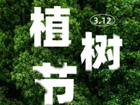 共赴植树之约，点亮地球新绿