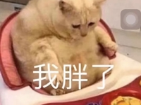当运动遇见科学减脂，你的汗水终将绽放成理想身材