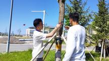现代农业学院开展校园绿植修剪活动