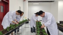 现代农业专业介绍
