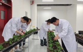 现代农业专业介绍
